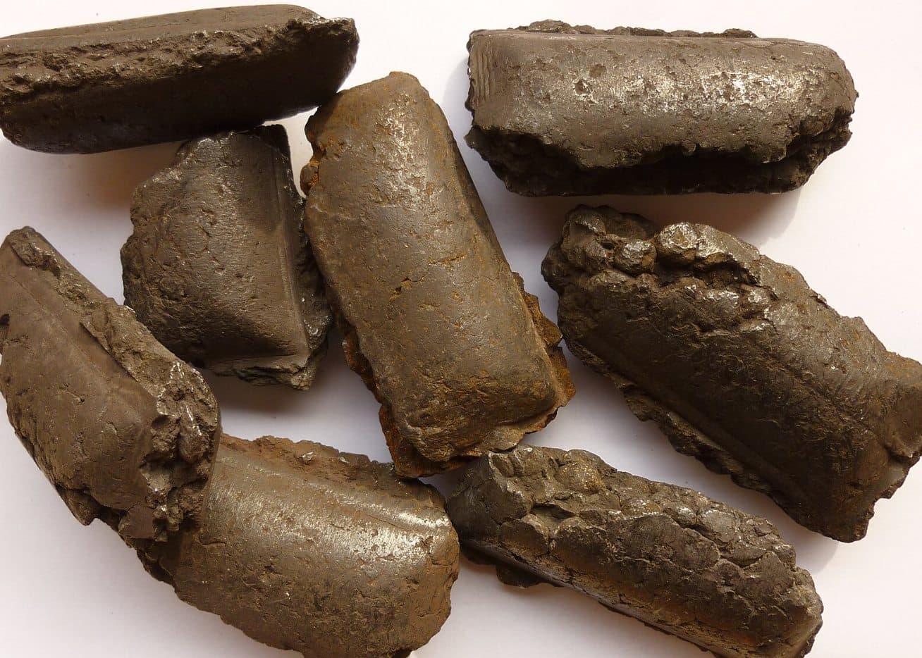 CBIC briquettes